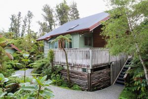 rainforest tree lodge 47