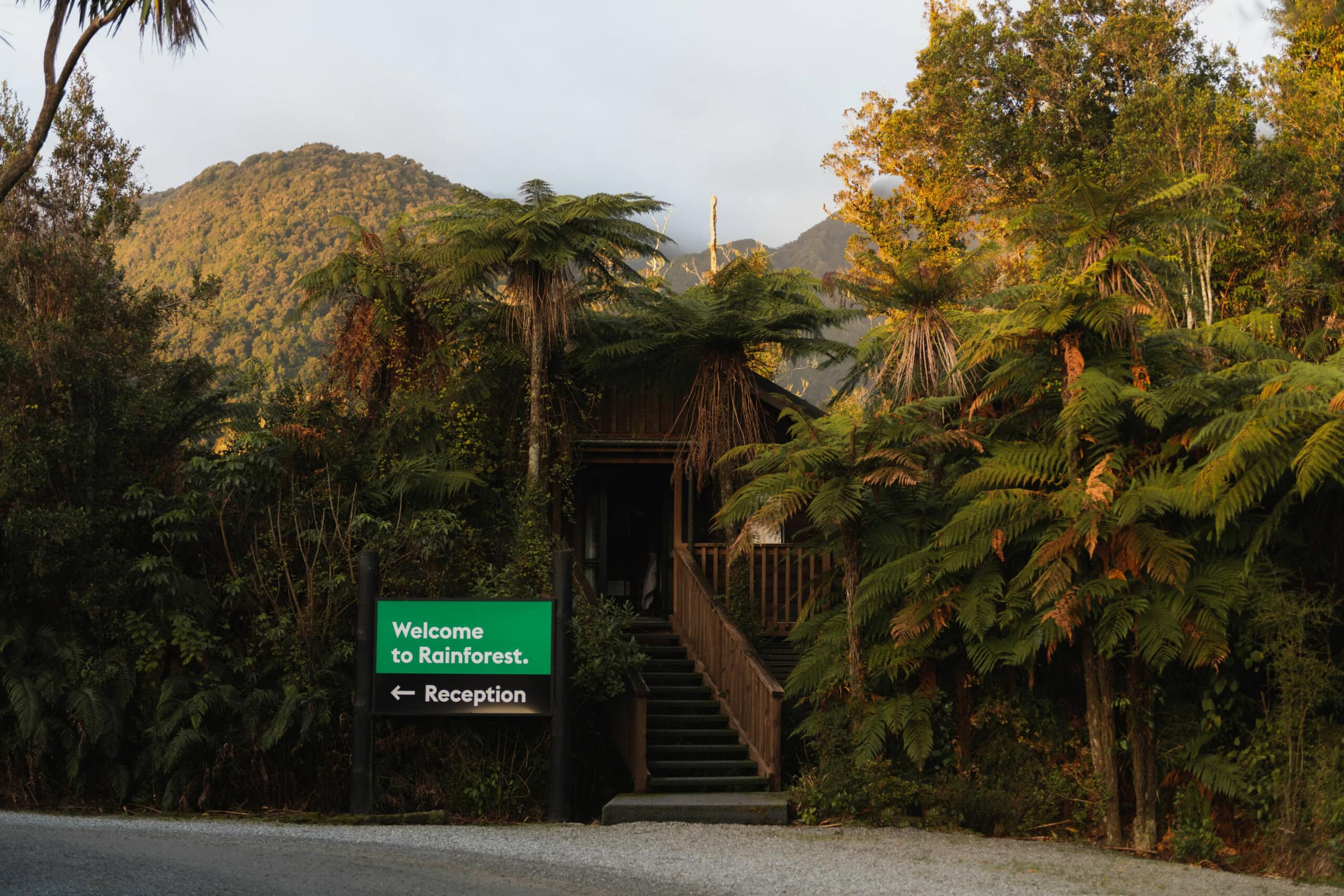 Welcome To Rainforest Retreat