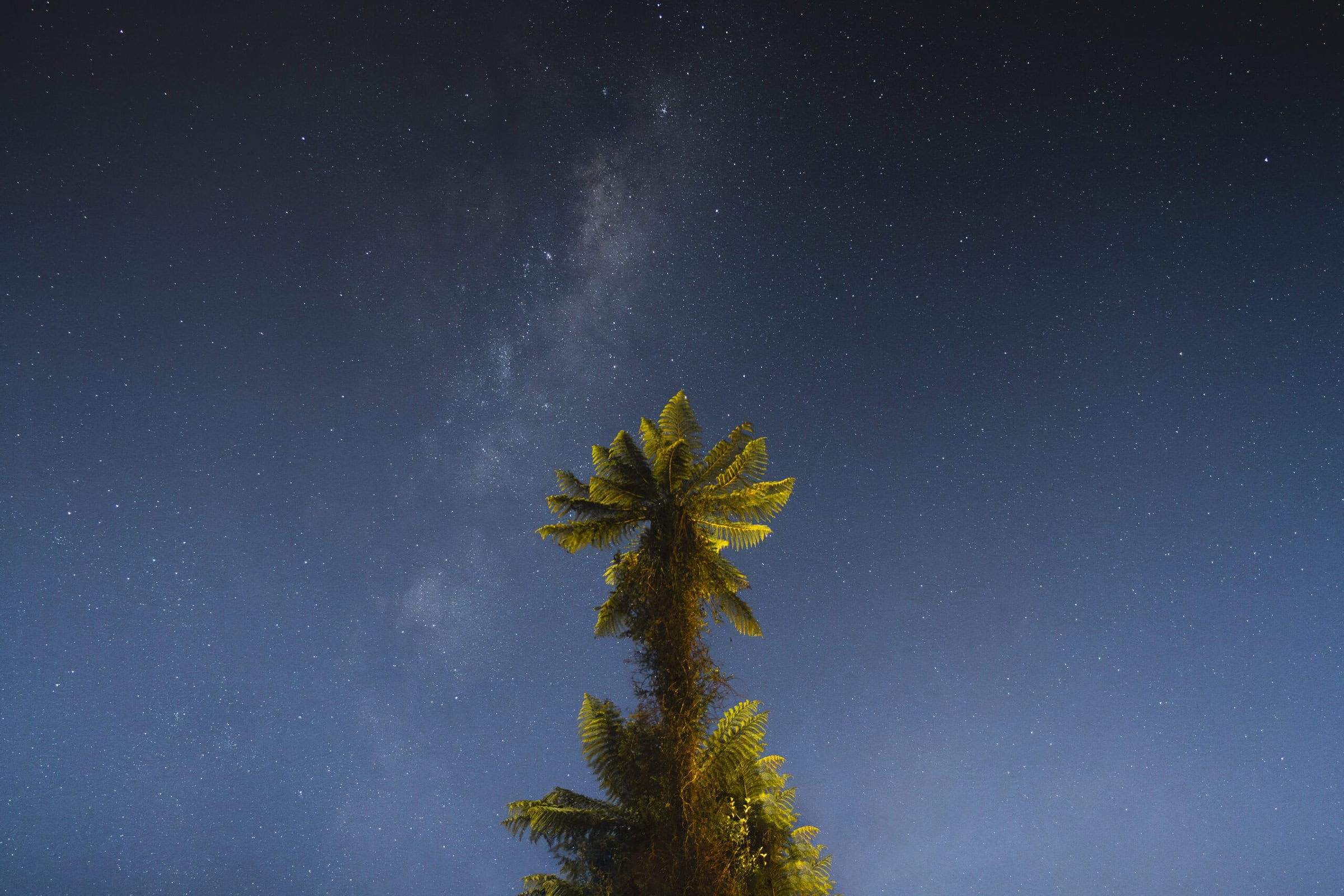 Matariki Stars Rainforest Franz Josef Glacier New Zealand